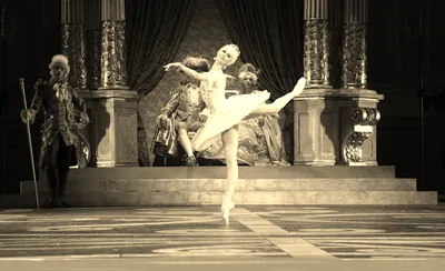 The Sleeping Beauty - Ballet